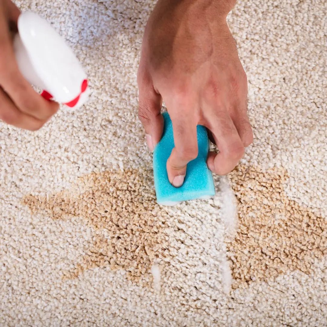 10 Proven Methods to Remove Carpet Stains.