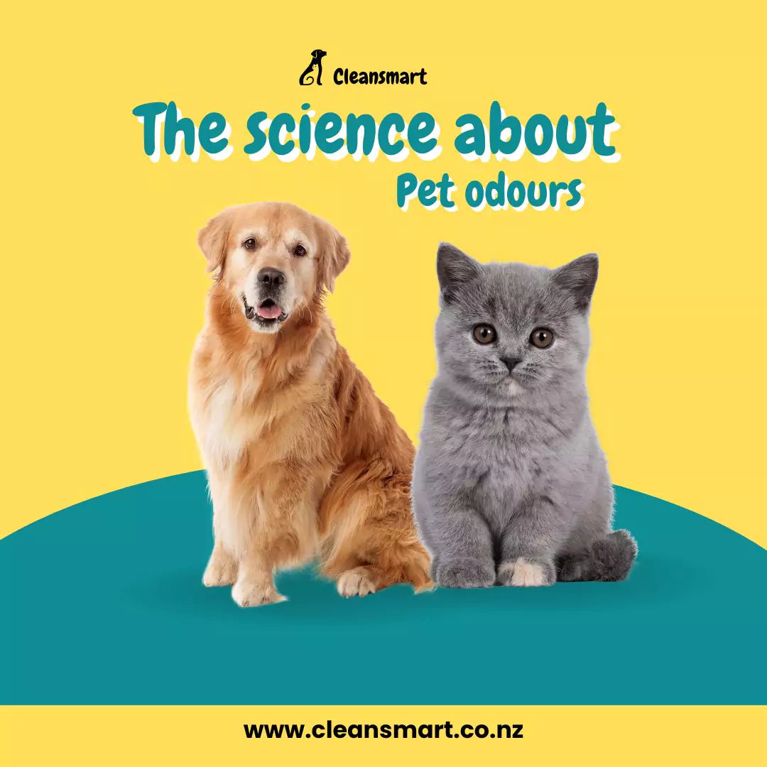 The_science_about_pet_odours_cleansmart