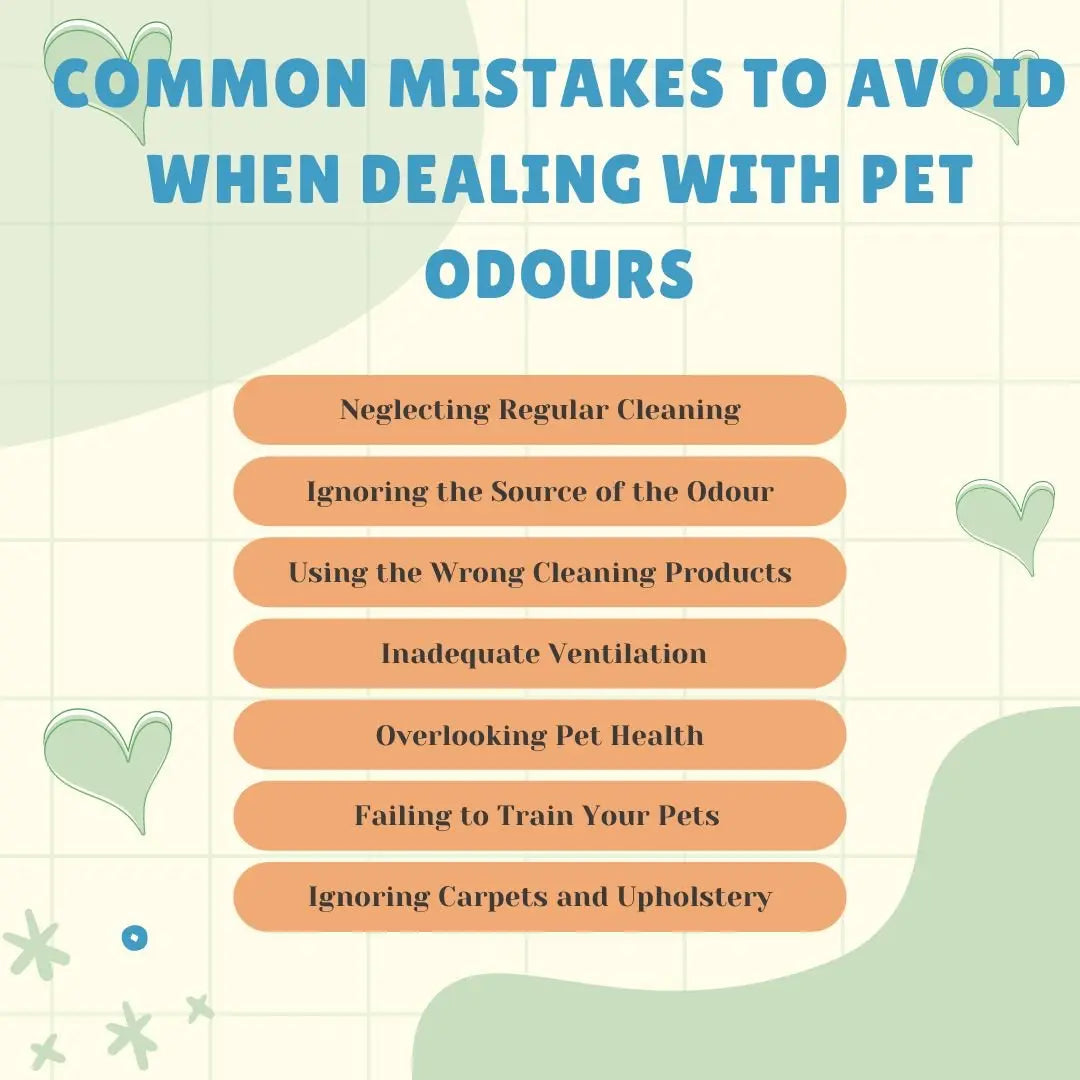 Common Mistakes to Avoid When Dealing with Pet Odours - Cleansmart