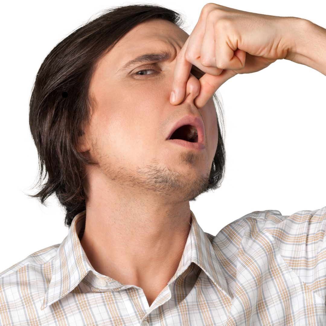 How do I keep my house from smelling like my pet?.