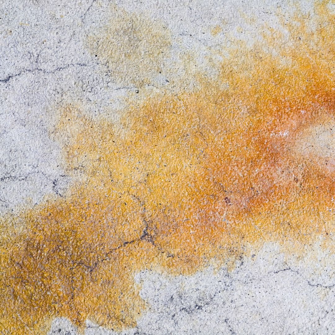 How Do I Treat Tannin stains on Carpets?.