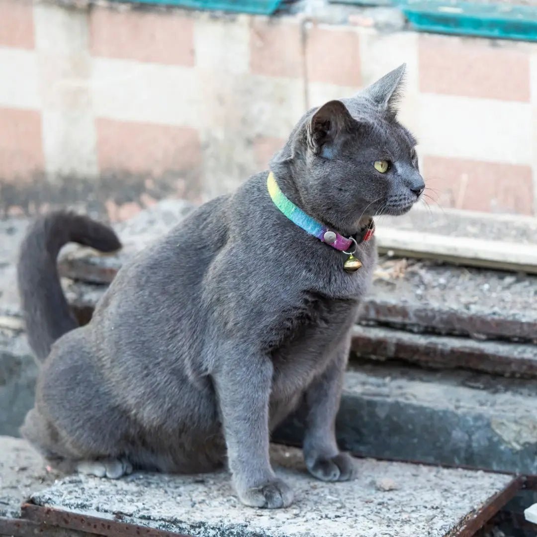How to stop a cat from spraying.