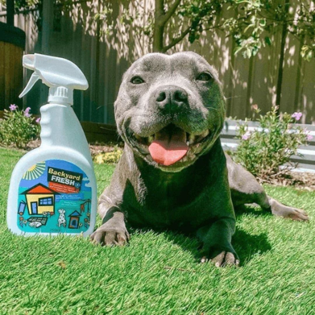 BackyardFresh Artificial Grass Cleaner | Pet Odour Eliminator | Safe for Kids & Pets.