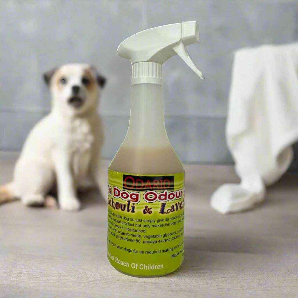 Dog Spritzer 500ml | Refreshing Pet Spray - Cleansmart - Cleansmart