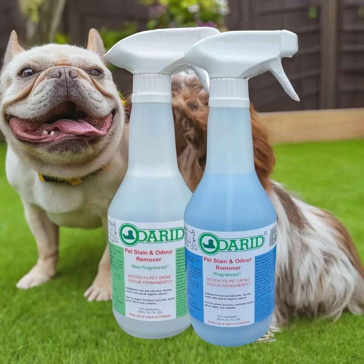 Odarid Pet Stain and Odour Remover | Pack - Cleansmart