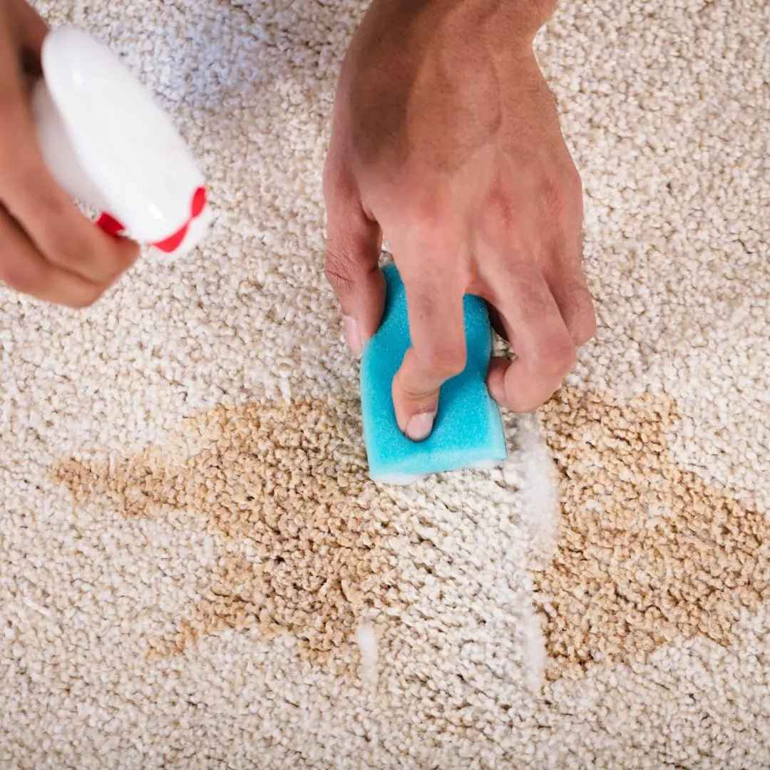10 Proven Methods to Remove Carpet Stains - Cleansmart