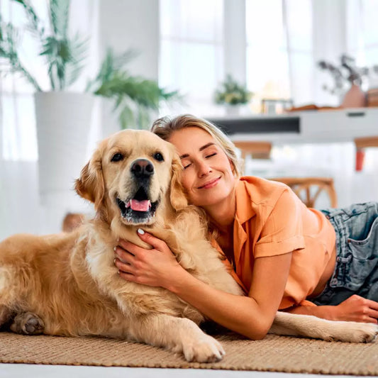 What’s the best product to permanently remove pet urine smell?