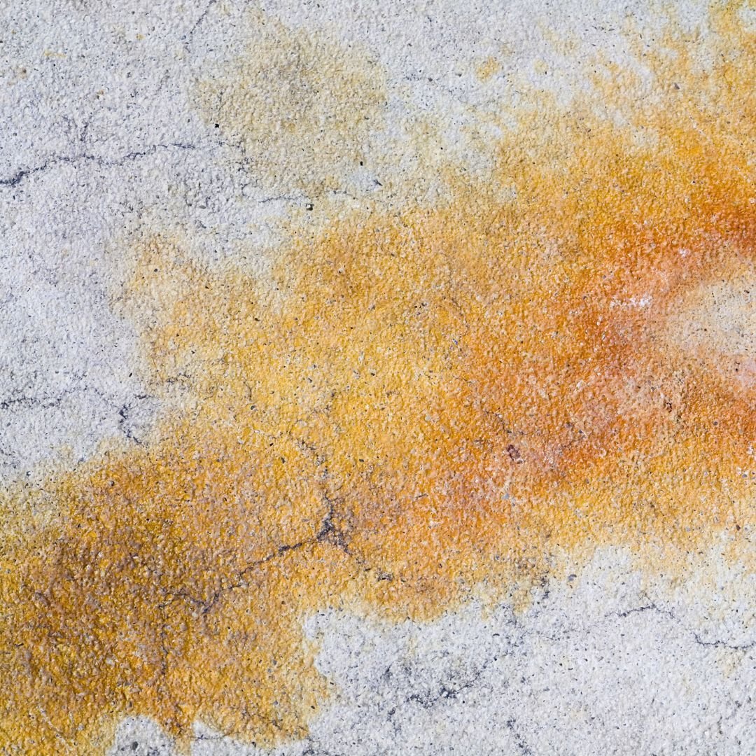 How Do I Treat Tannin stains on Carpets? - Cleansmart