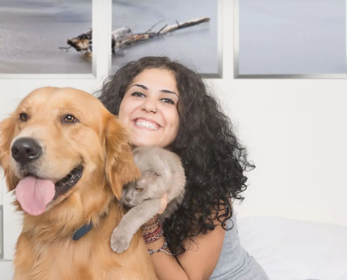 The Best Ways to Protect Your Furry Friends from Summer Heat - Cleansmart