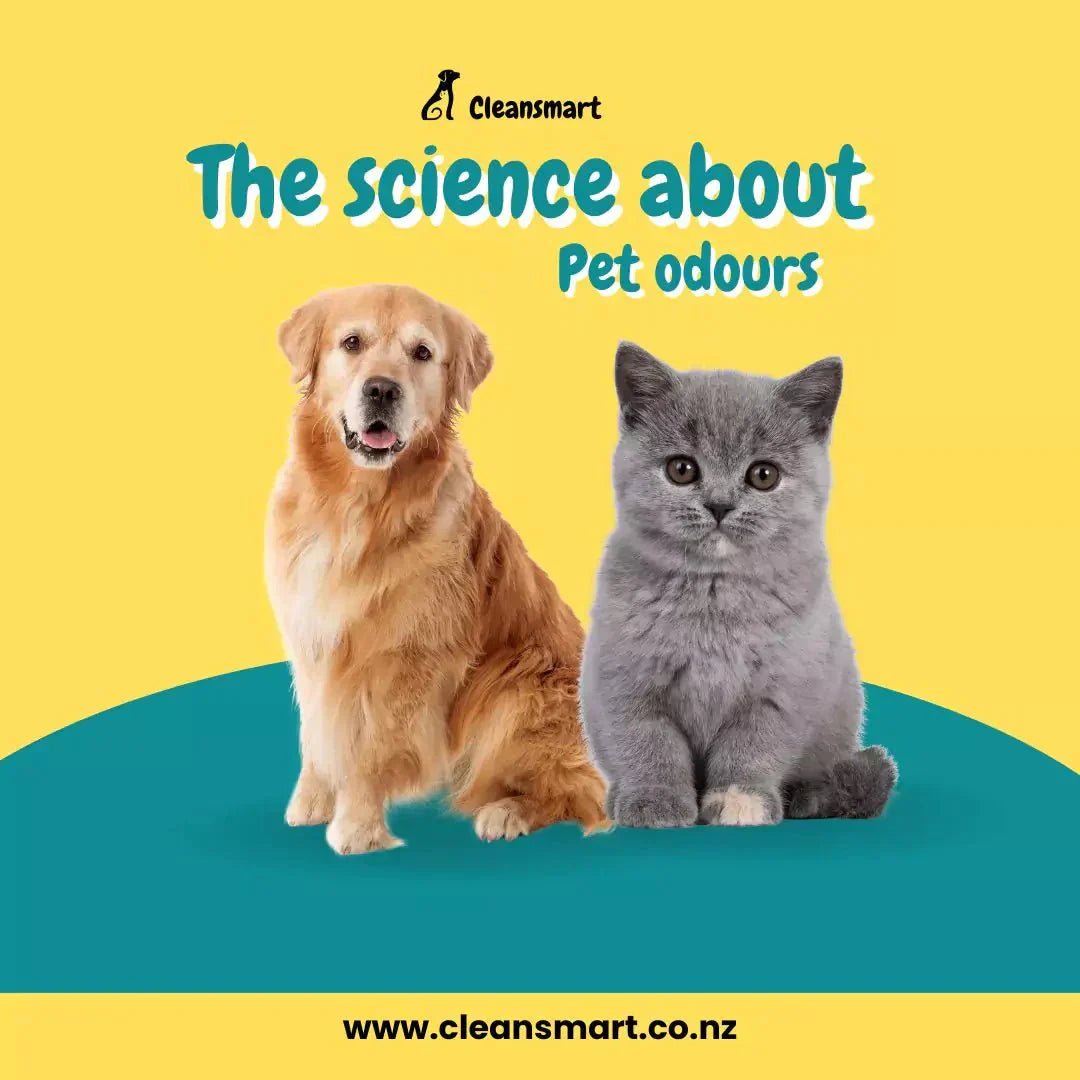 The Science Behind Pet Odours - Cleansmart