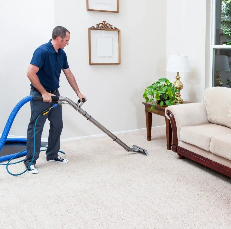 Treat Pet Urine Stains Before Carpet Cleaning - Cleansmart