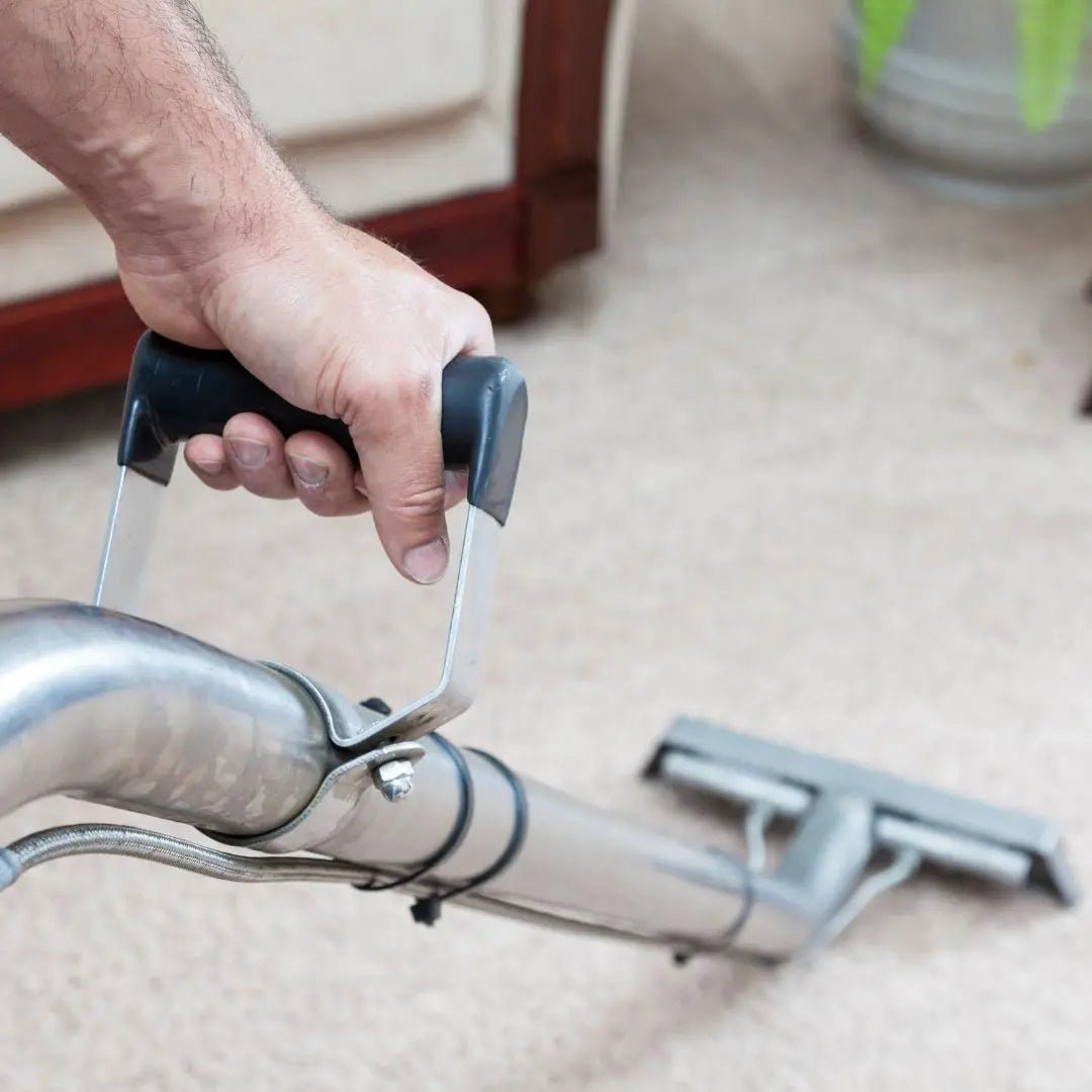 Why is it important to treat urine stains first on carpet before getting them carpet cleaned - Cleansmart