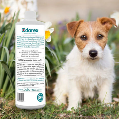 Odorex_Pet_Cleaner_Concentrate_Back