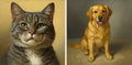 AI companion portrait example - side-by-side cat and dog oil painting style