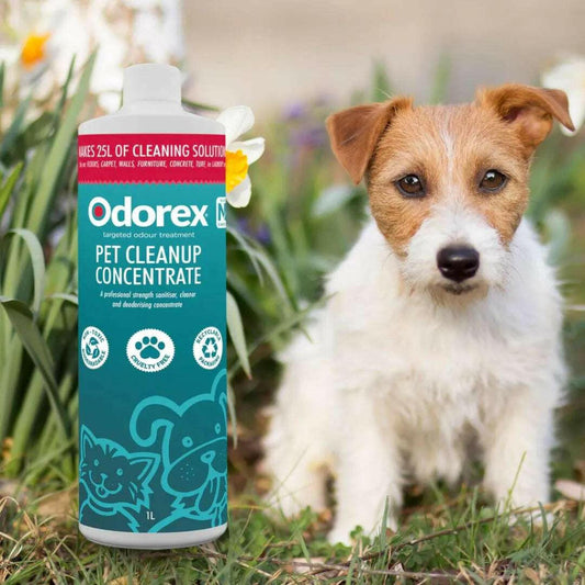 Pet Cleanup Concentrate | Eliminate Odours & Stains - Odorex.